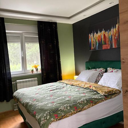 סרמסקה מיטרוביקה Apartman Diana מראה חיצוני תמונה