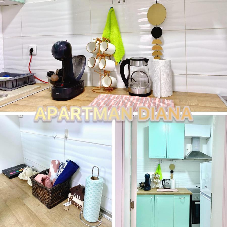 סרמסקה מיטרוביקה Apartman Diana מראה חיצוני תמונה