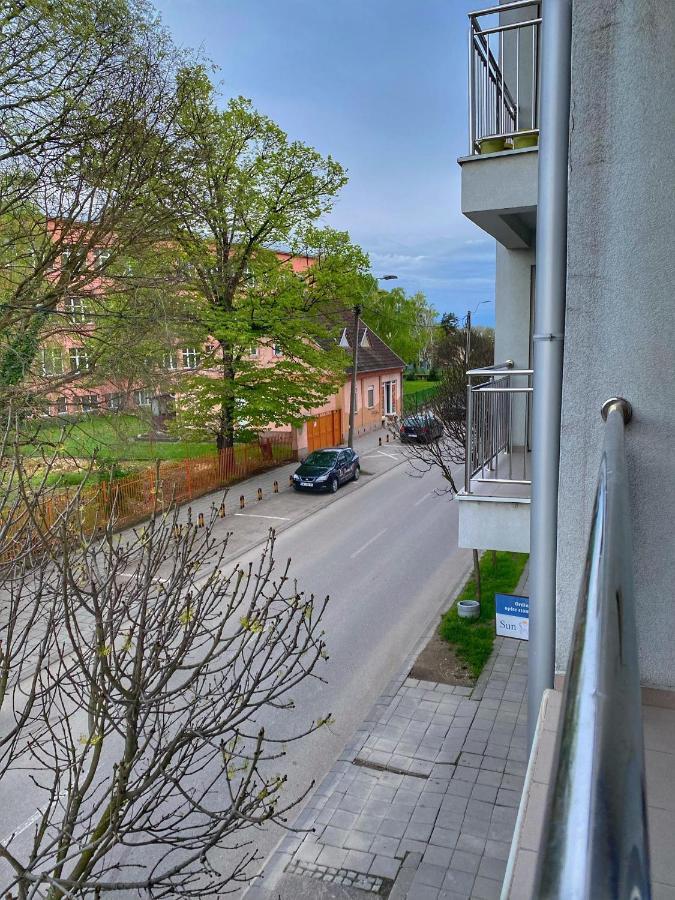 סרמסקה מיטרוביקה Apartman Diana מראה חיצוני תמונה