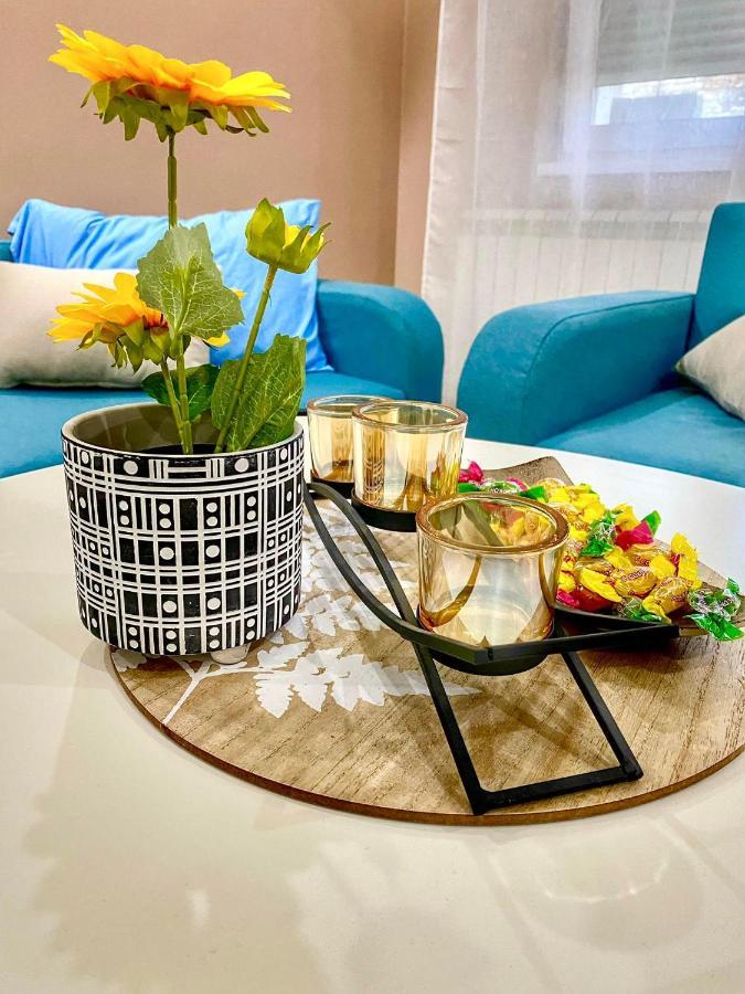 סרמסקה מיטרוביקה Apartman Diana מראה חיצוני תמונה