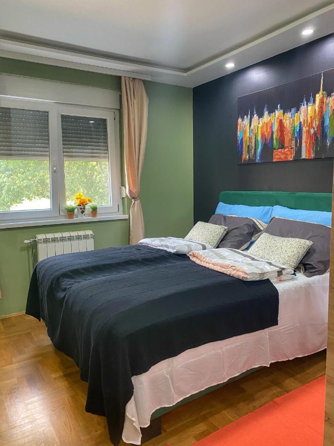 סרמסקה מיטרוביקה Apartman Diana מראה חיצוני תמונה