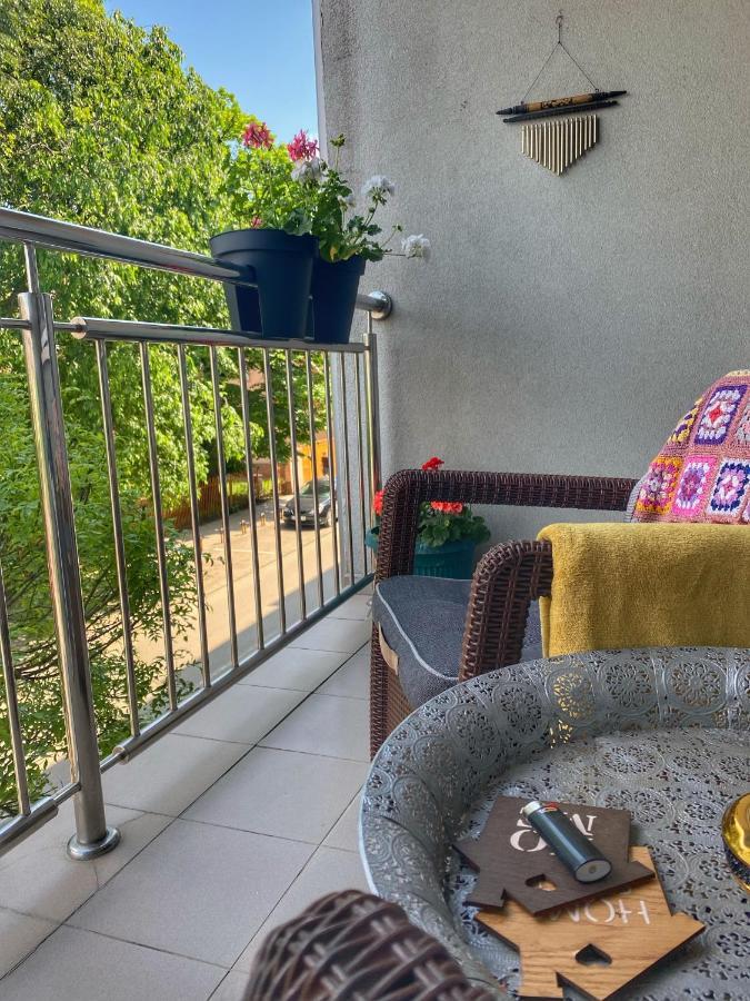 סרמסקה מיטרוביקה Apartman Diana מראה חיצוני תמונה