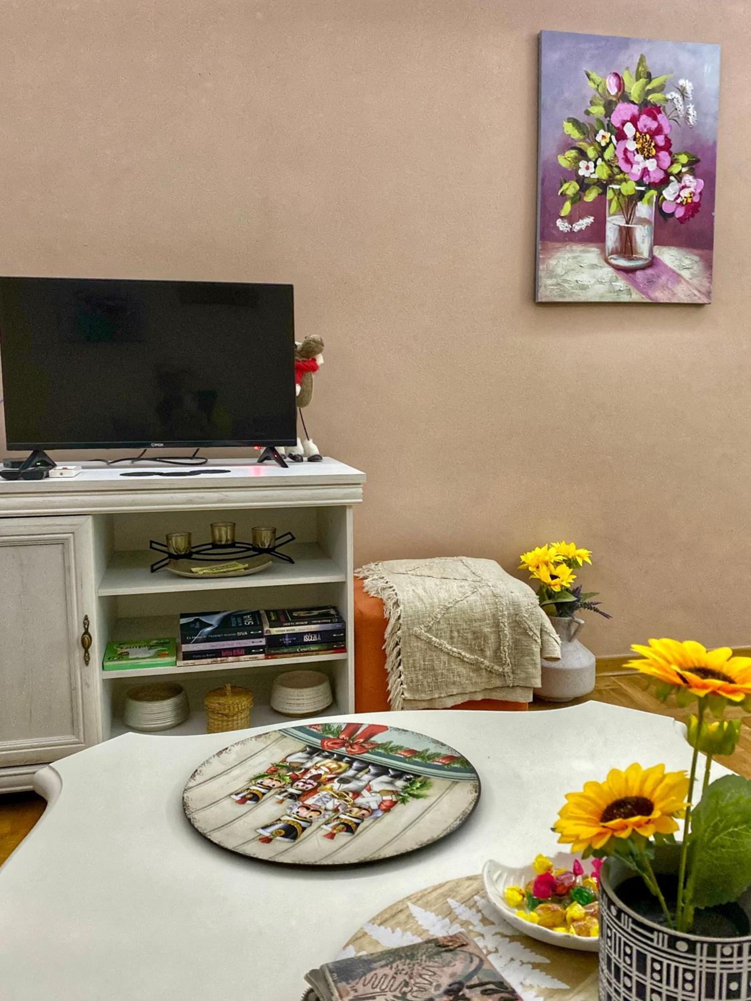 סרמסקה מיטרוביקה Apartman Diana מראה חיצוני תמונה