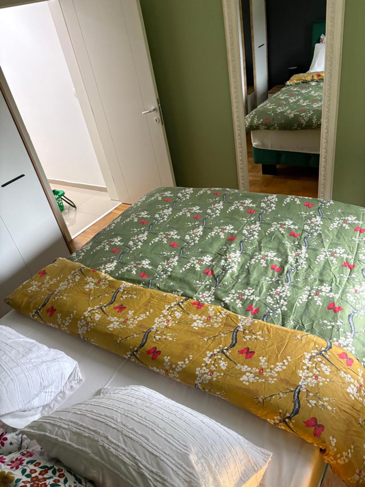 סרמסקה מיטרוביקה Apartman Diana מראה חיצוני תמונה